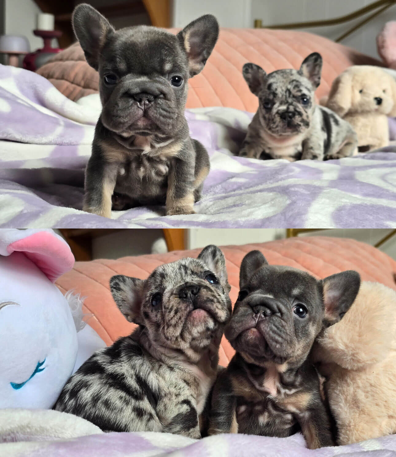 Eleanor-and-Lorena